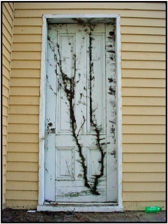 Exterior door showing years of weathering